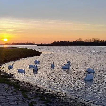 Casa Dami - Charmante Ferien- Und Monteurwohnung In Flughafennähe *